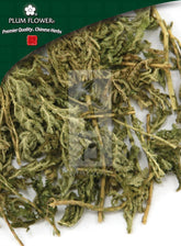 石尚白,未硫的深蓝卷柏草本